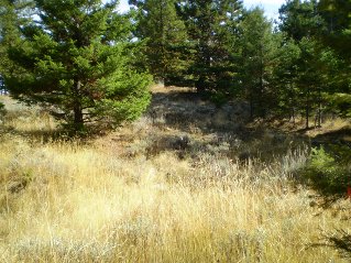 Path eventually disappeared into very grassy meadows, continued across the meadows towards a high point, Yellow Lake Trail 2014-09.